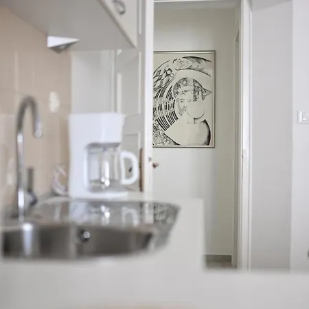 Near Center With Free Parking And Air Condition In Each 公寓 扎达尔