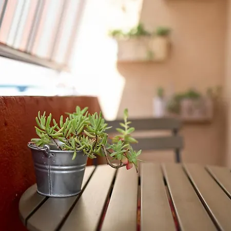 Near Center With Free Parking And Air Condition In Each 公寓