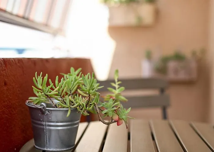 Near Center With Free Parking And Air Condition In Each Apartamento